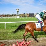 Ippica, corsa cavalli, betflag