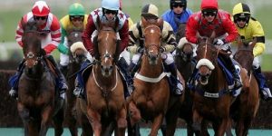 Cavalli al Gran Premio dell'Ippica Vittoria