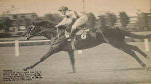 I campioni della Dormello Olgiata