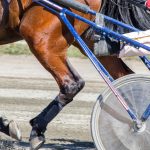 Gran Premio Ivone Grassetto