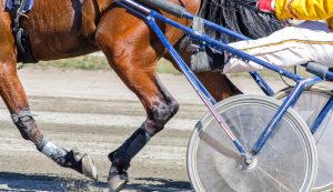 Gran Premio Ivone Grassetto