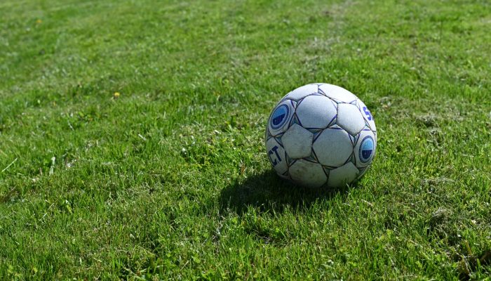 Pallone da Calcio con ombra su erbetta