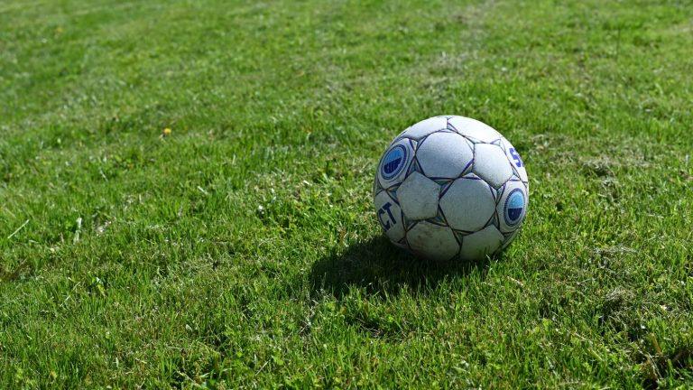 Pallone da Calcio con ombra su erbetta