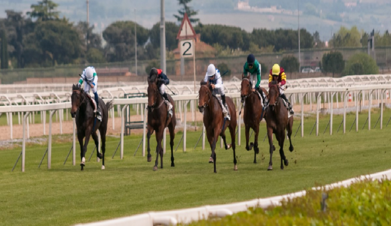 Roma Galoppo-all'Ippodromo Capannelle