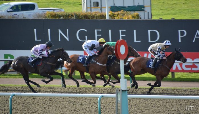 Sabato siul tracciato di Lingfield, in Inghilterra, un importante G3 per femmine sui 1400 metri