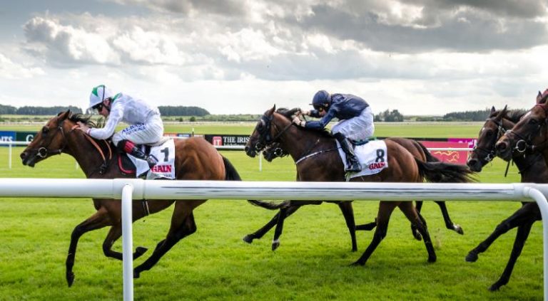 Anteprime di Galoppo in Irlanda a maggio 2021