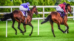 Gli eventi di Maggio 2021 a Leopardstown in Irlanda