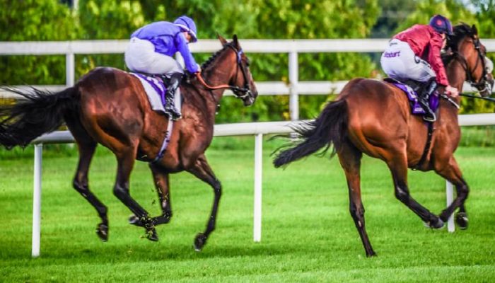 Gli eventi di Maggio 2021 a Leopardstown in Irlanda