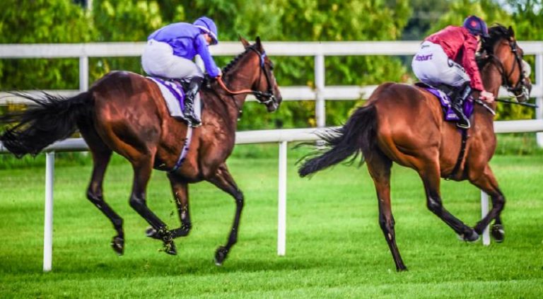Gli eventi di Maggio 2021 a Leopardstown in Irlanda