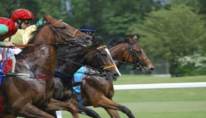 Corse di galoppo imperniata sugli handicap