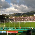 stadio fiorentina