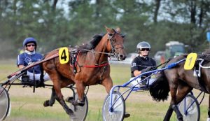 Guidatori Ippica Antonio Di Nardo ed Alessandro Gocciadoro