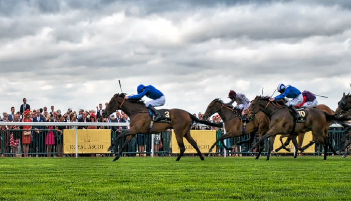 Partenza Cavalli al Royal Ascot