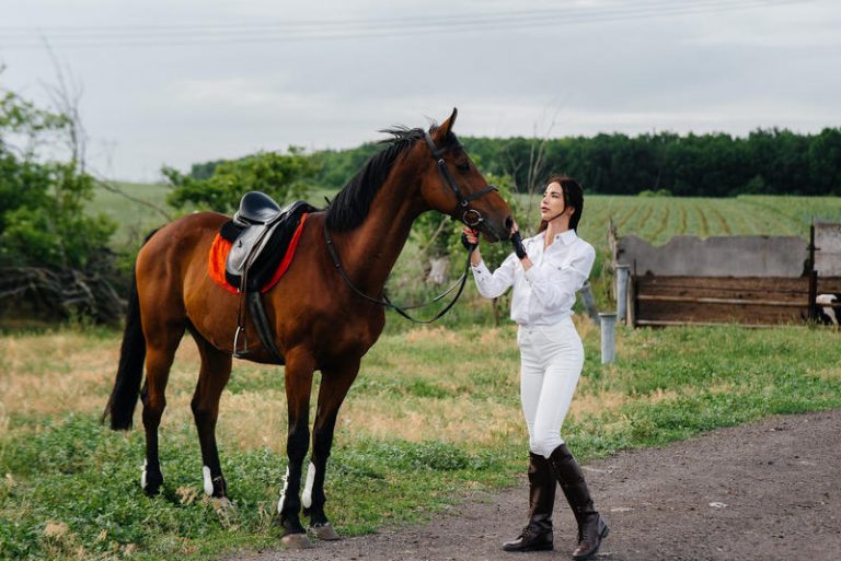 Cavalli da Corsa più famosi della Storia