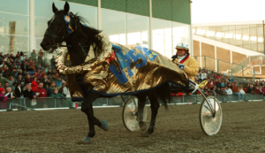 Copiad batte Pine Chip all'Elitloppet dei secoli