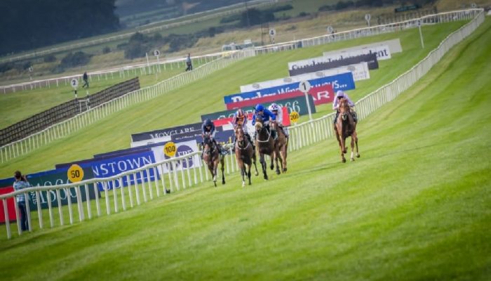 Ippodromo del Curragh in Irlanda