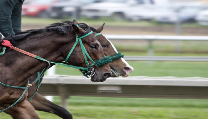 Derby inglese galoppo ad Epsom