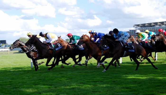 Anteprima, favoriti, quote antepost per il Royal Meeting di Ascot