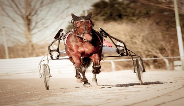 Uno dei più grandi driver del trotto italiano è Vivaldo Baldi