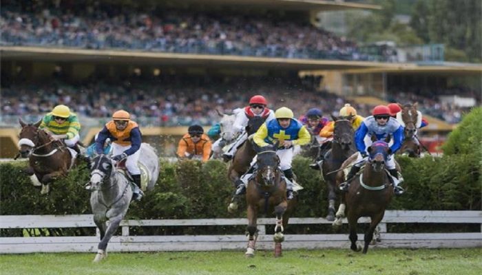 Gran Premio di Merano