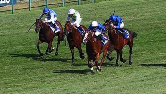 Darley Prix de Cabourg