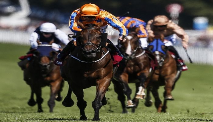 Goodwood Cup: in anteprima le quote antepost BetFlag