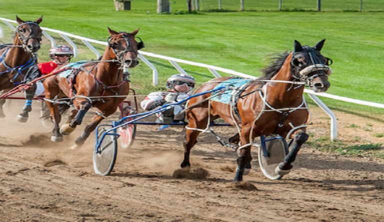 Gran Premio Abruzzo all'ippodromo di San Giovanni Teatino