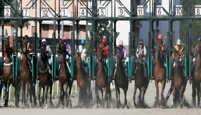 Galoppo: Varese ippodromo Le Bettole