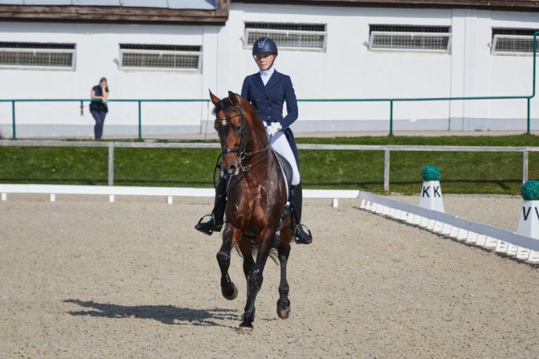 Come vengono addestrati i cavalli da corsa