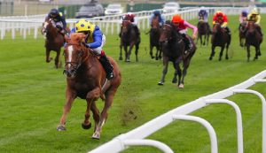 British Champions Series