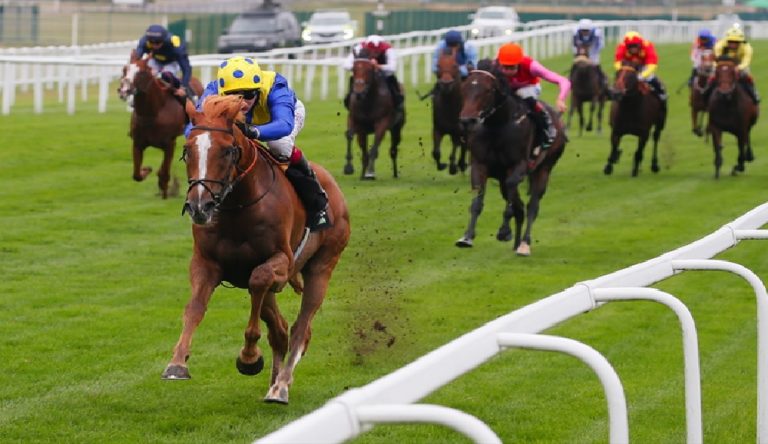 British Champions Series