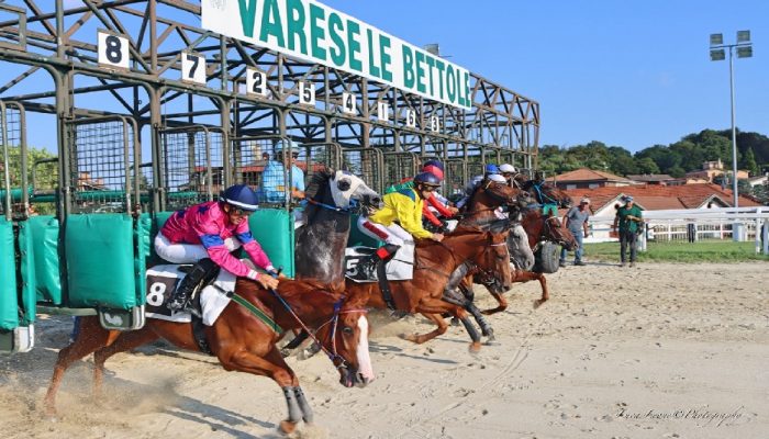 5 Corse all'ippodromo di Varese