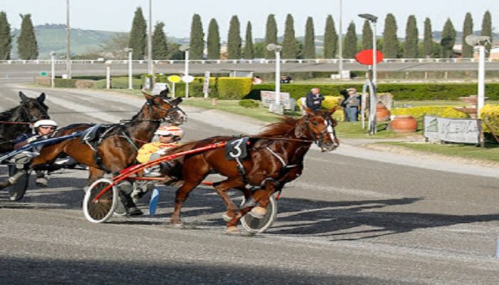 Ippodromo di Montegiorgio: Gran premio Marche