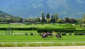 6 corse all'ippodromo di Merano