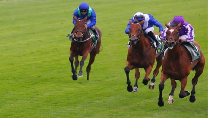 Glorious Meeting di York: Juddmonte International Stakes