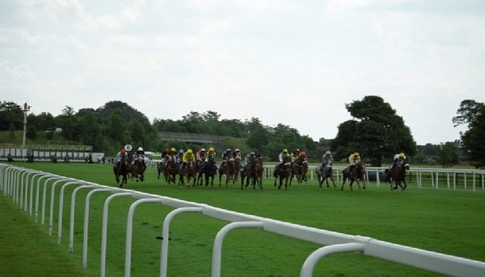 Gara Ippica Ebor Meeting a Nunthorpe Stakes