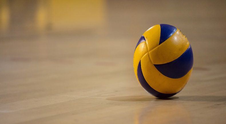 Volley Challenge Cup femminile: Wiesbaden contro Novara