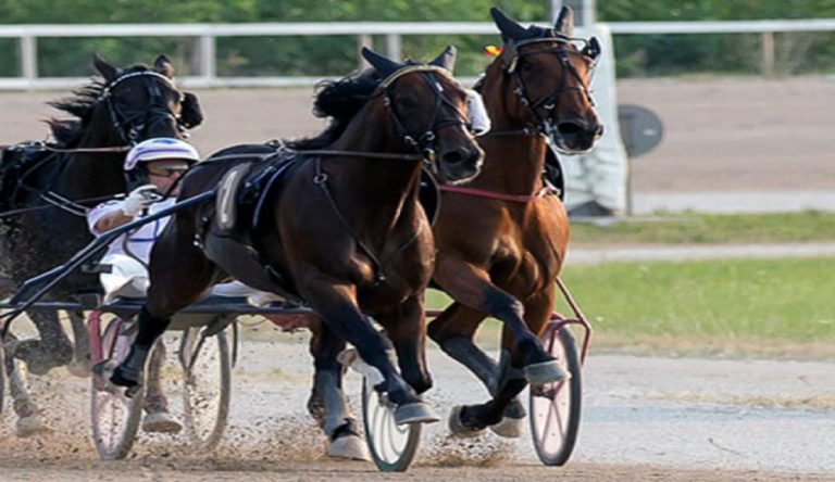 Gran Premio Città di Treviso