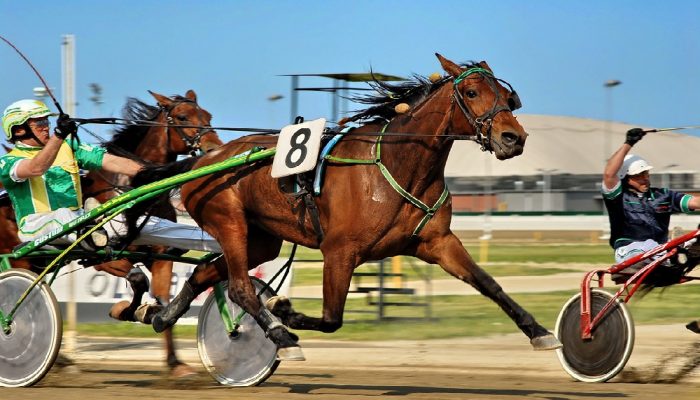 Gran Premio Marangoni