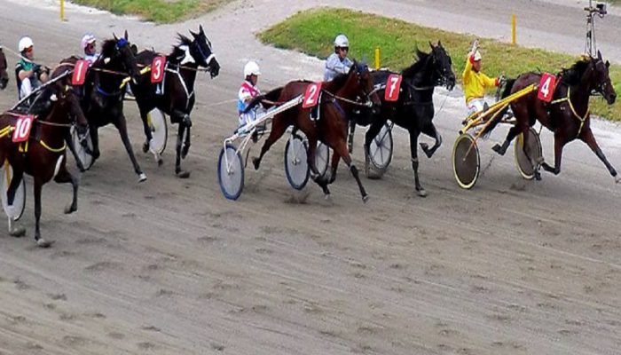 Ippodromo Bologna