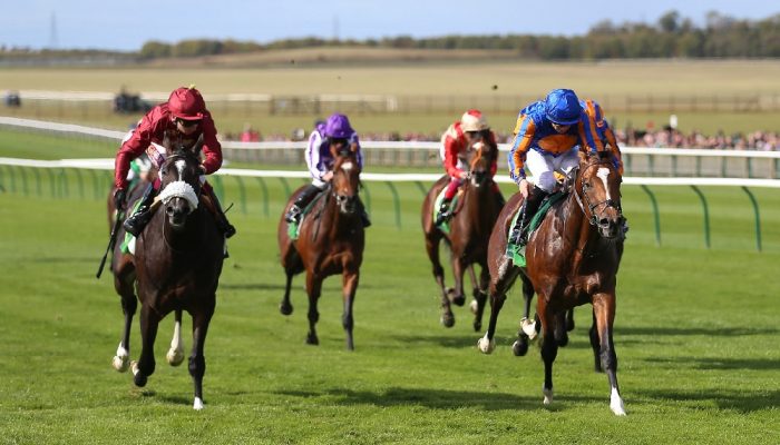 Royal Lodge Stakes