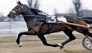 Ippica: La storia di Indro Park