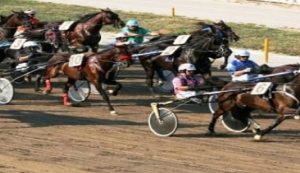 Domenica 10 ottobre la finale delle Oaks a Roma