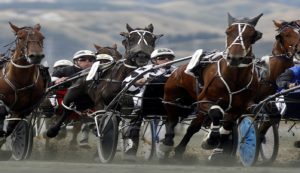 Cavalli trotto: la storia del derby italiano