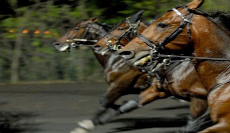 Anteprima del Gran Premio San Paolo a Montegiorgio