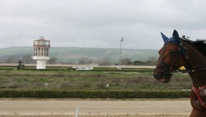 Gran premio all'ippodromo di Foggia