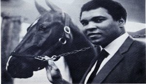 Muhammad Ali campione anche nel Trotto
