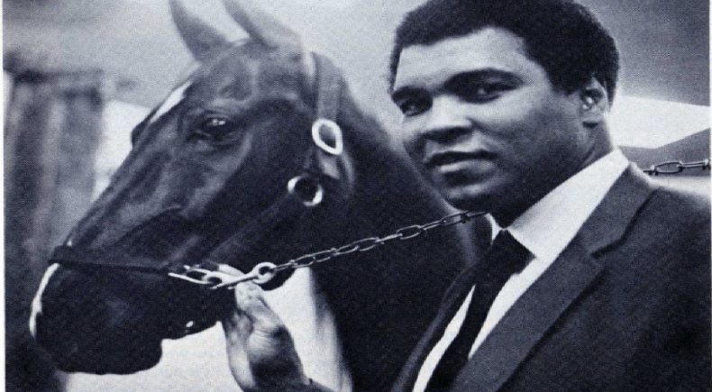Muhammad Ali campione anche nel Trotto