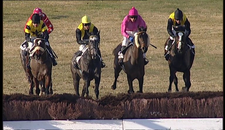 Gran Corsa Siepi di Pisa