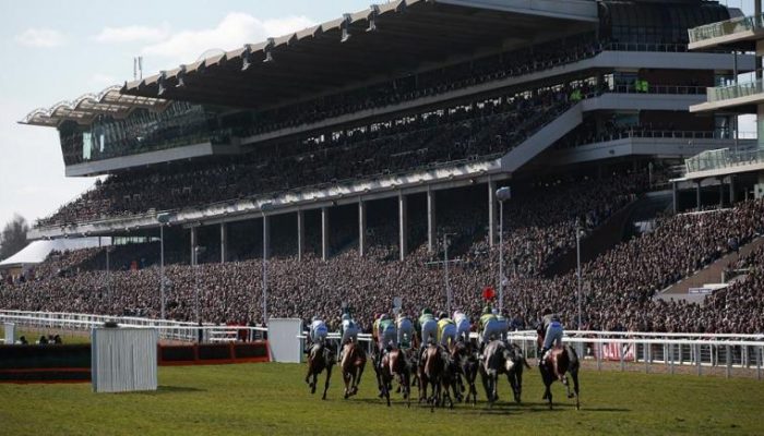 Ippodromo di Cheltenham con cavalli al galoppo